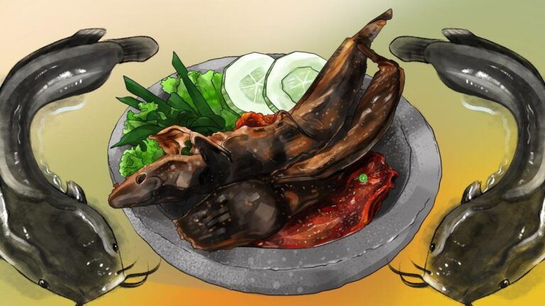 ikan lele menyerap racun dari lingkungan
