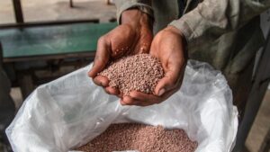 China bertahan dari lonjakan harga pupuk berkat batu bara.